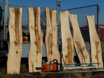 Sawmilling work 1