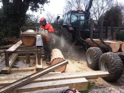 Sawmilling work 8